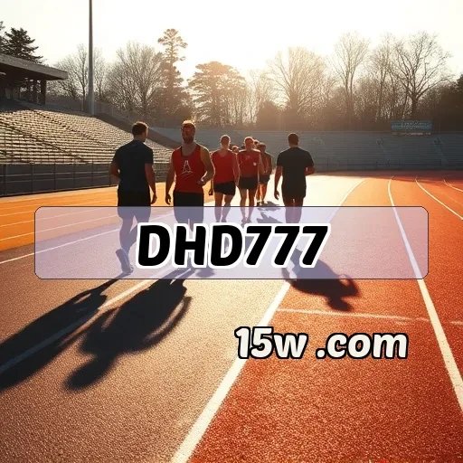 dhd777 Segurança